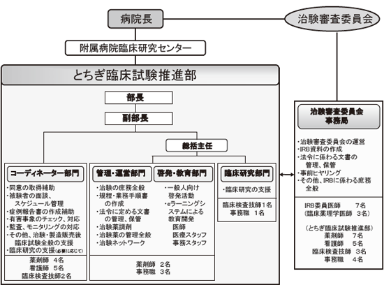 とちぎ臨床試験推進部組織概要