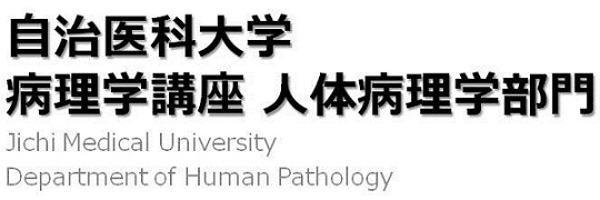 Human Pathology