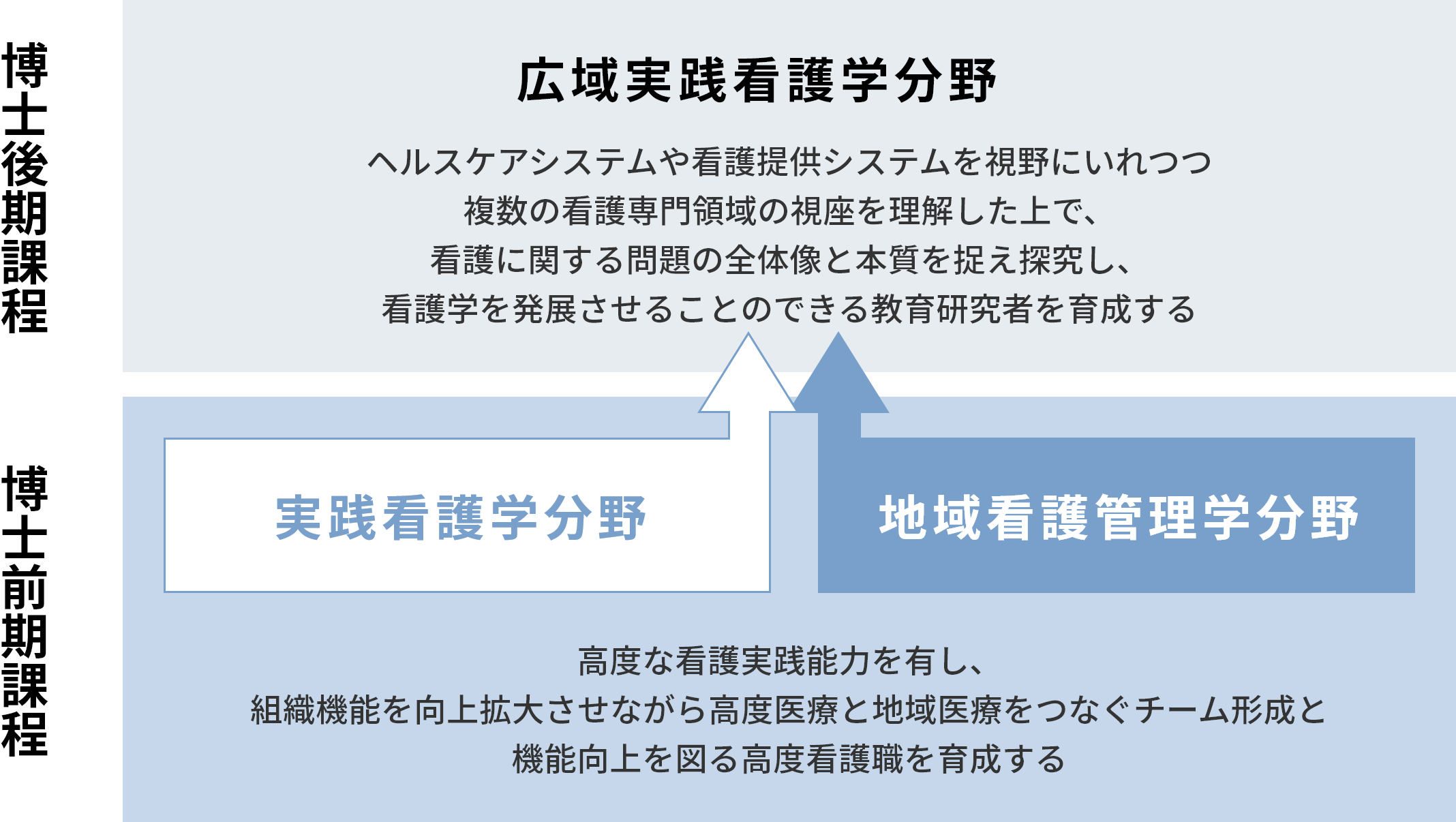 看護学研究科