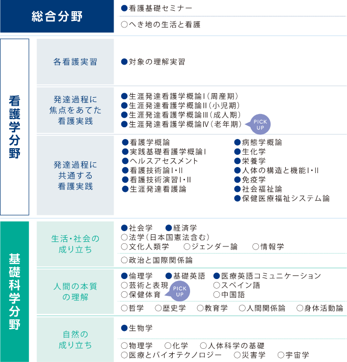 1年次 分野項目