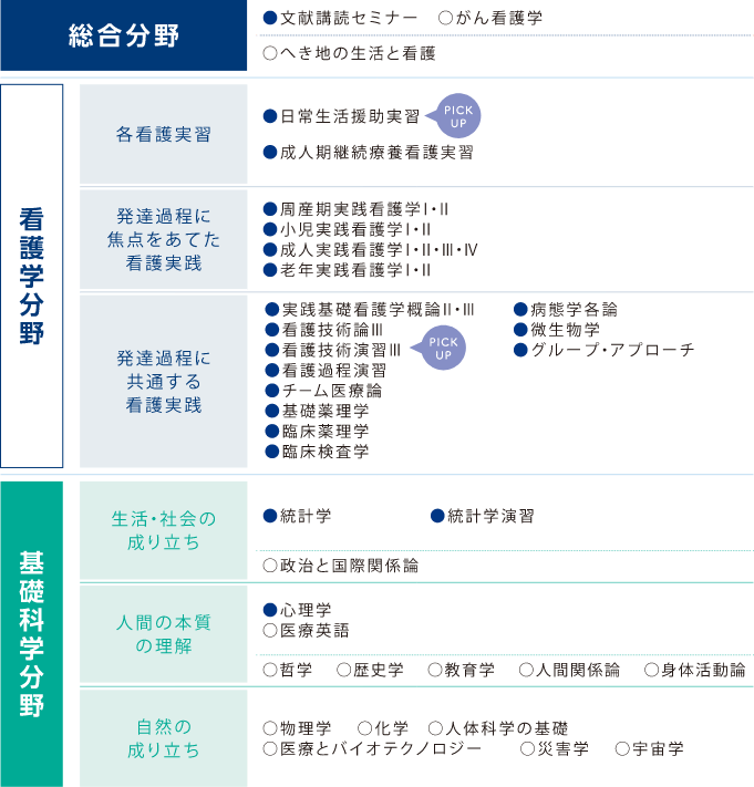 2年次 分野項目