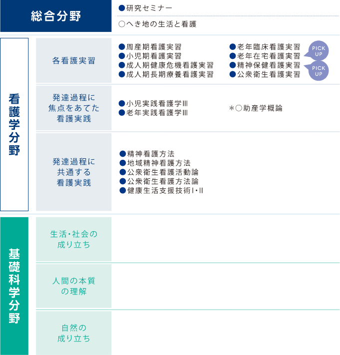 3年次 分野項目