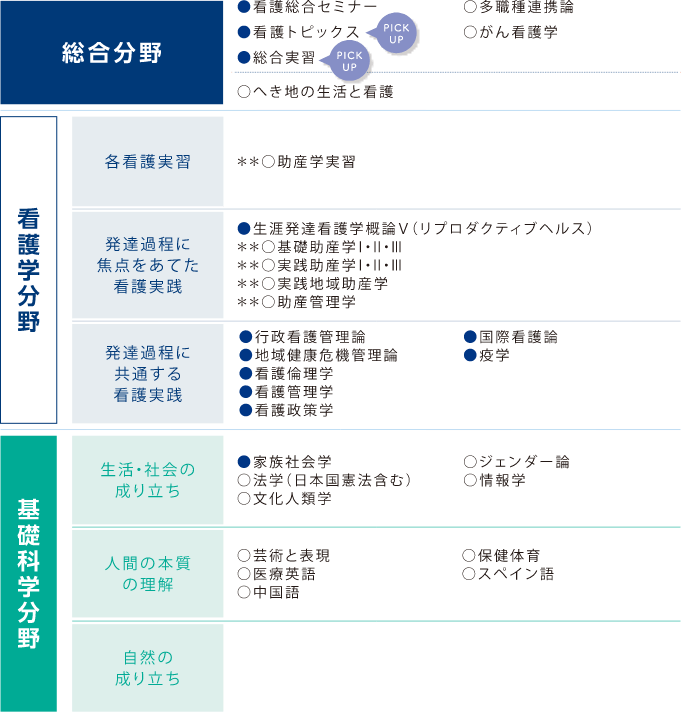 4年次 分野項目