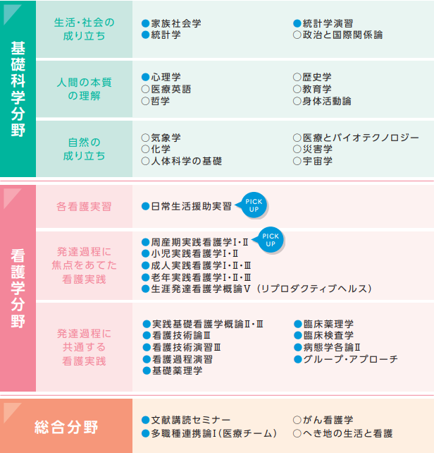 2年次 分野項目