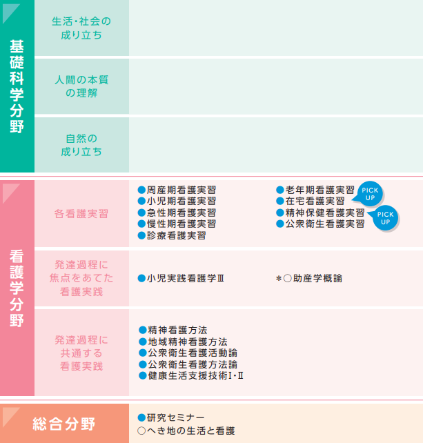 3年次 分野項目