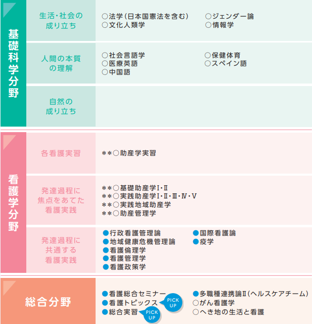 4年次 分野項目