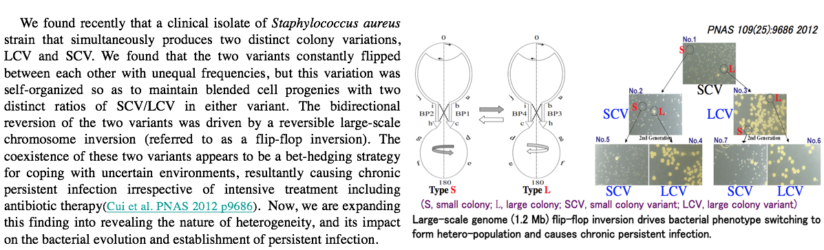 research1