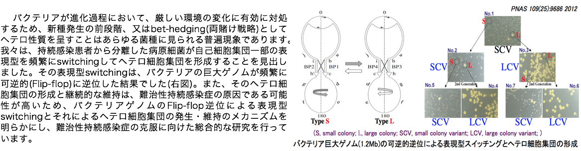 data1