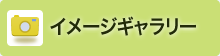 イメージギャラリー