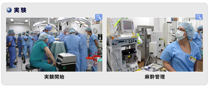 実験準備(センター側でサービスを提供)