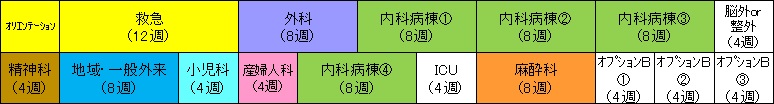 救急コースプログラム