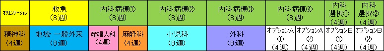 内科コースプログラム