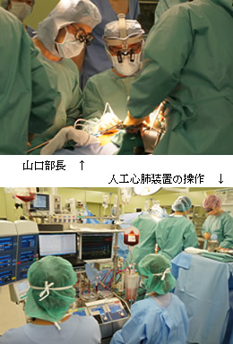 体外循環部門