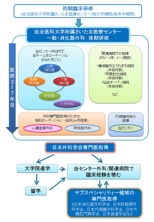 後期研修の流れ