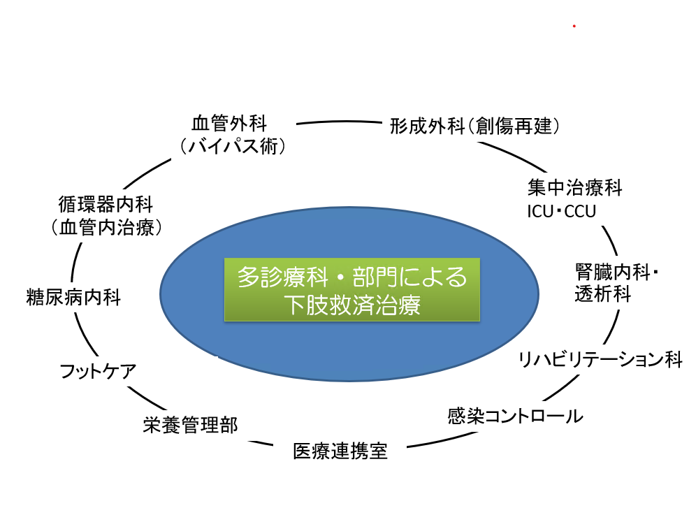下肢救済の集学的治療