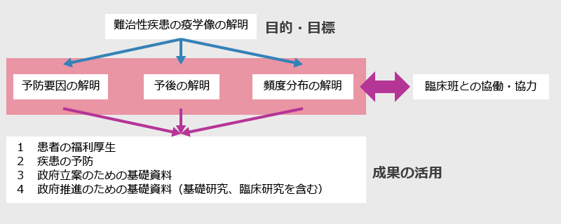 研究の流れ