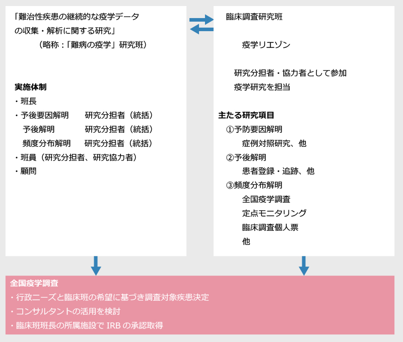 組織（体系）図