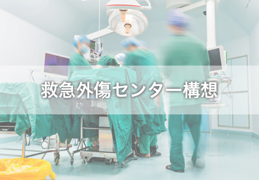 救急外傷センター構想