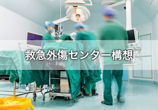 救急外傷センター構想