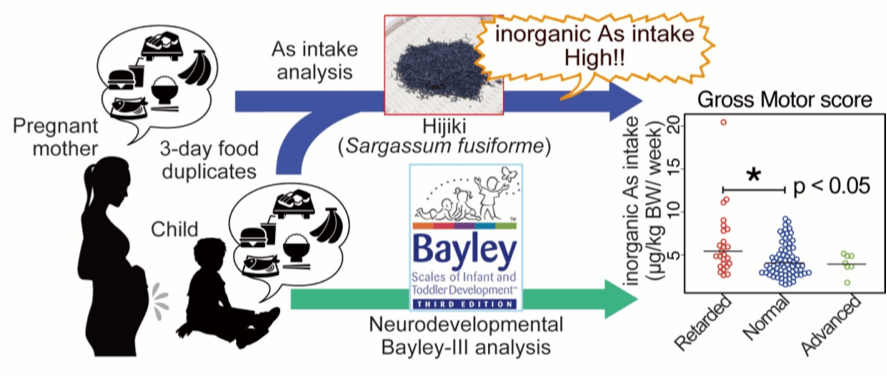 ヒ素が小児の発育や発達エピゲノムに与える影響