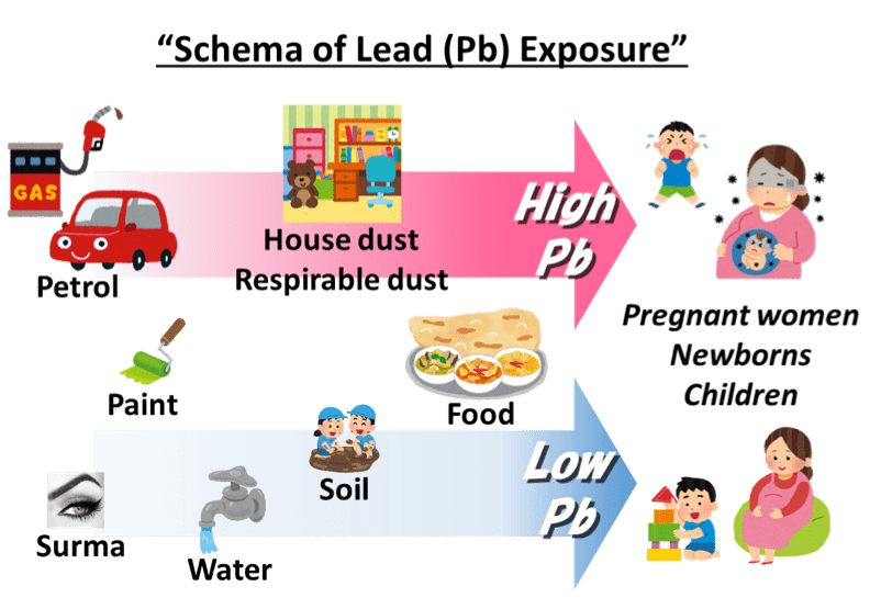 Schema of Lead (Pb) Exposure