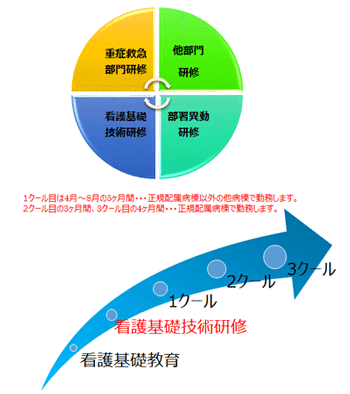 プログラム概要