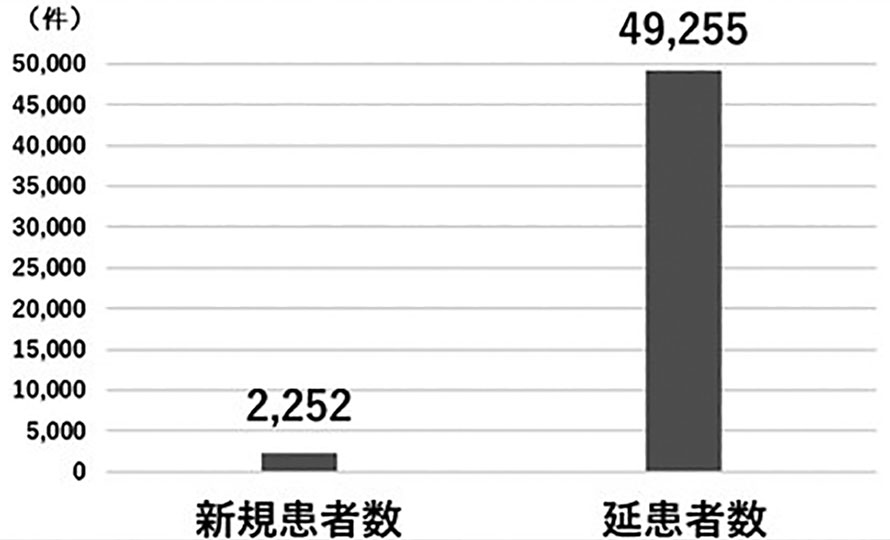 図－1　相談ケース数