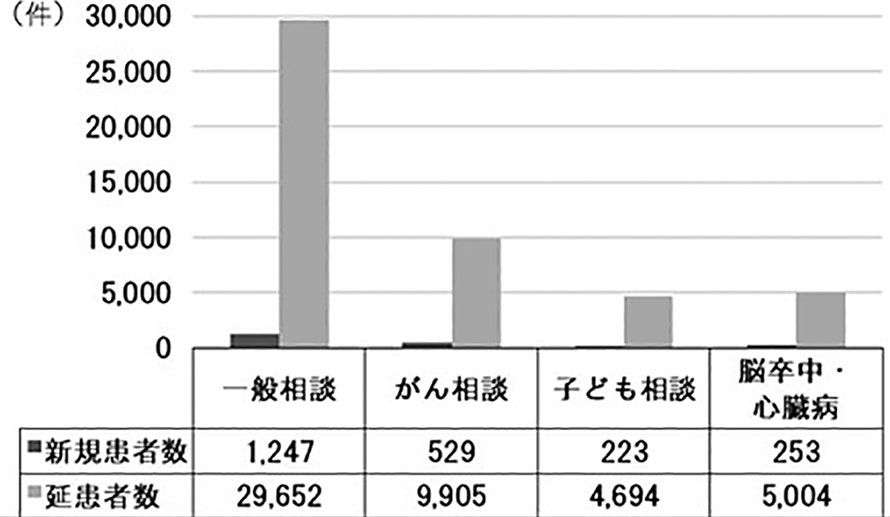 図－2　相談ケース数内訳