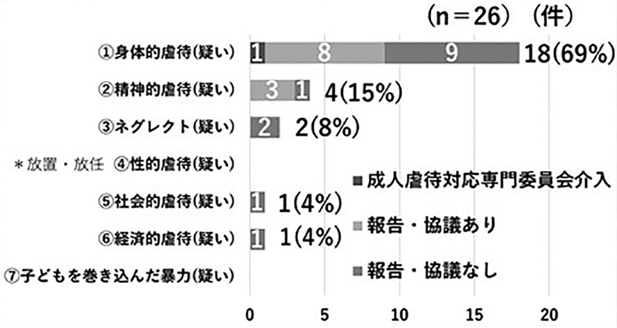 図－8　虐待分類（成人）