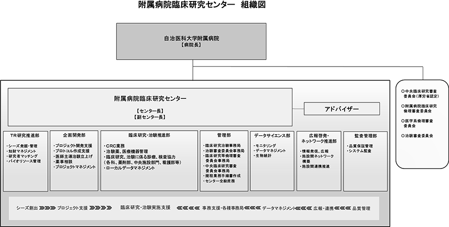 図１．臨床研究センター　臨床研究・治験推進部の組織図