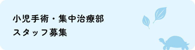 小児手術・集中治療部 スタッフ募集