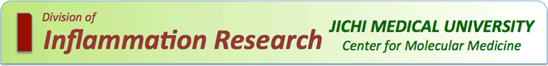 Inflammation Reserch