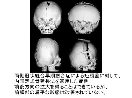 自治医科大学 形成外科学部門