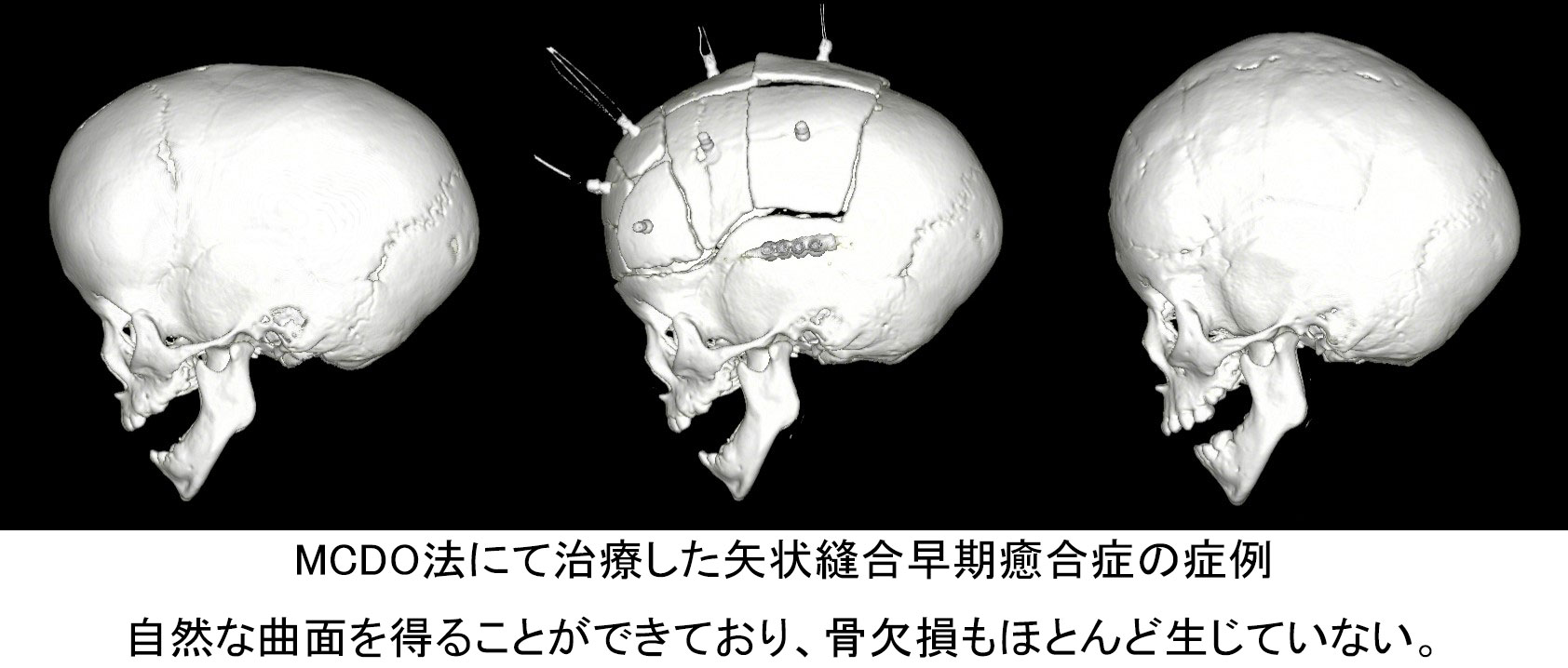 自治医科大学 形成外科学部門