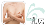 乳房