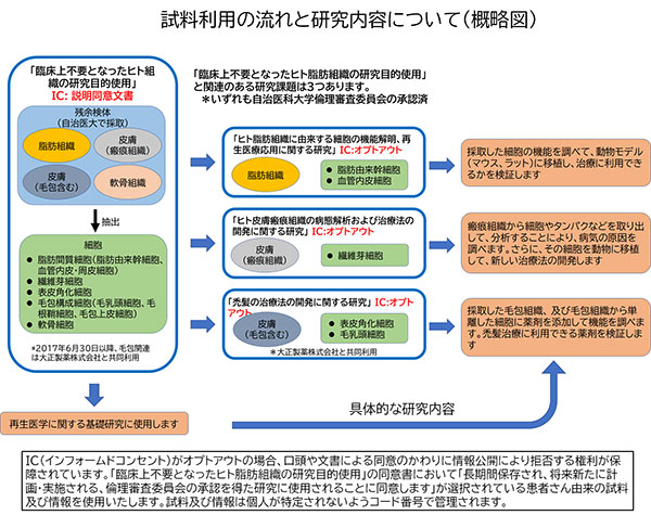 試料利用の流れと研究内容について（概略図）