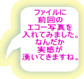 ファイルに 前回の エコー写真を 入れてみました。 なんだか 実感が 湧いてきますね。 