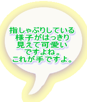 指しゃぶりしている 様子がはっきり 見えて可愛い ですよね。 これが手ですよ。 