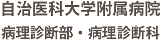 自治医科大学病理診断部