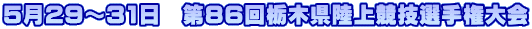 529`31@86Ȗ،㋣ZI茠