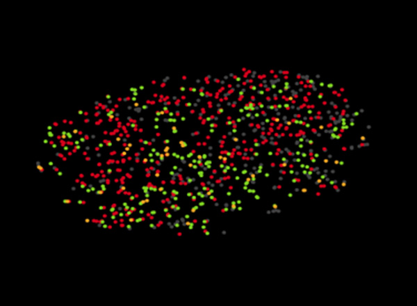 Epigenetics
