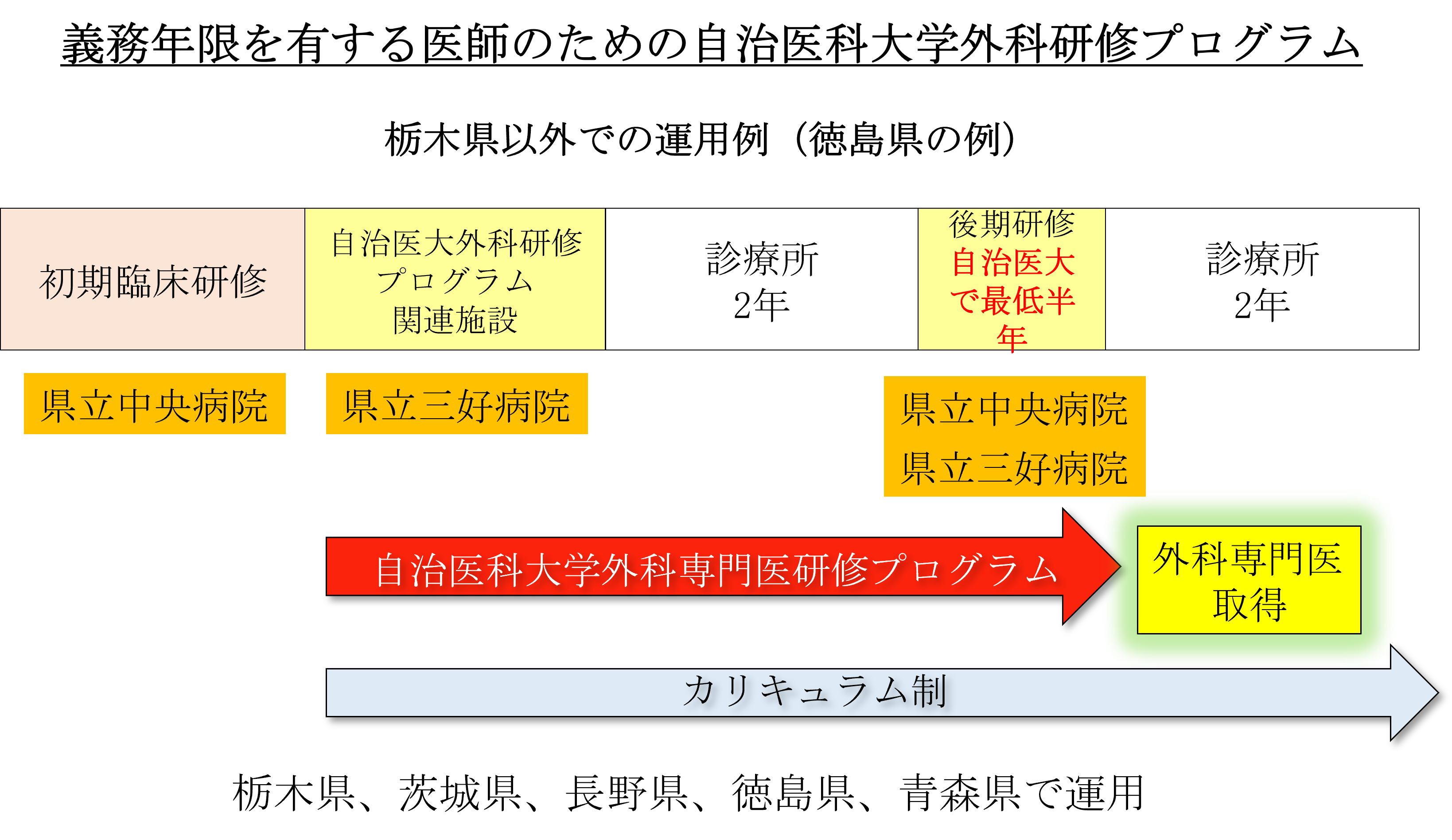 義務年限を有する医師のための自治医科大学外科研修プログラム