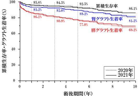 累積生存率・グラフト生着率