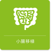 小腸移植