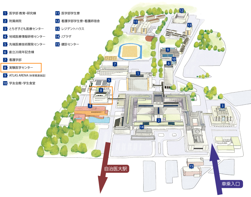 アクセス | 自治医科大学 実験医学センター