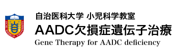 自治医科大学 小児科学教室  AADC欠損症遺伝子治療