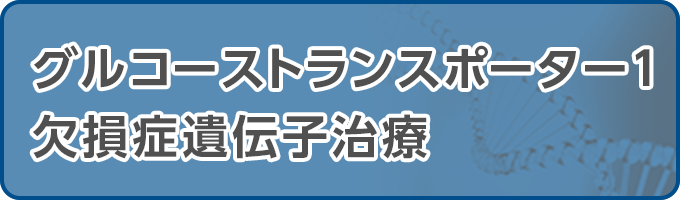 グルコーストランスポーター1欠損症遺伝子治療 