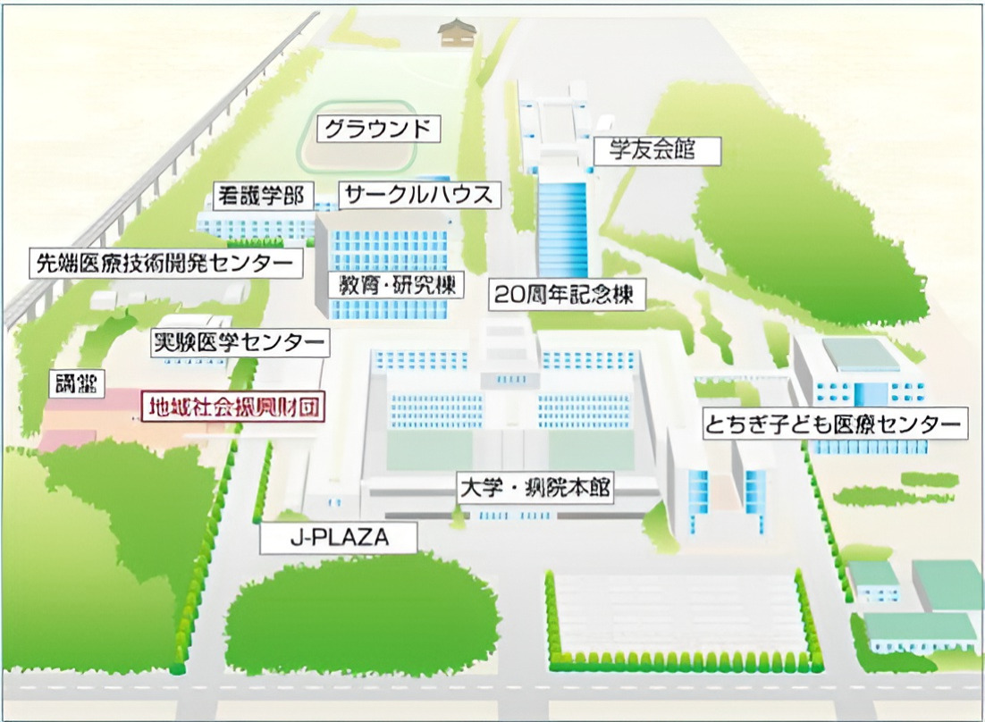 [附属病院・さいたま医療センター]管理栄養士 就職説明会の開催について お知らせ 自治医科大学
